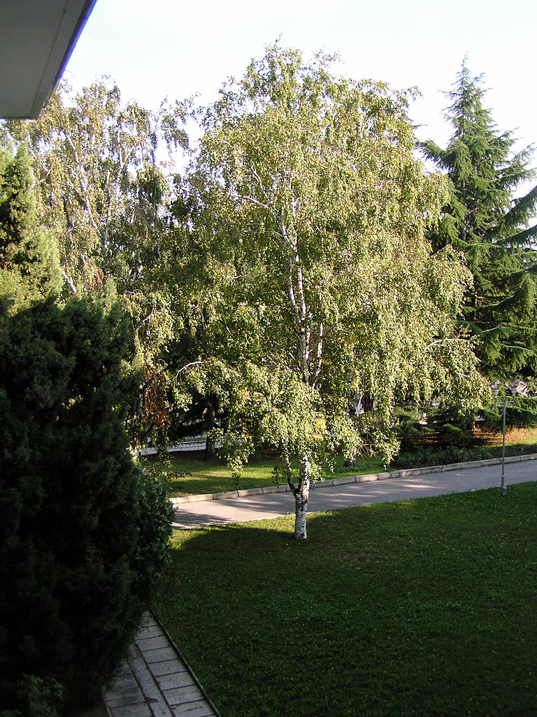 160903-098.GN.jpg