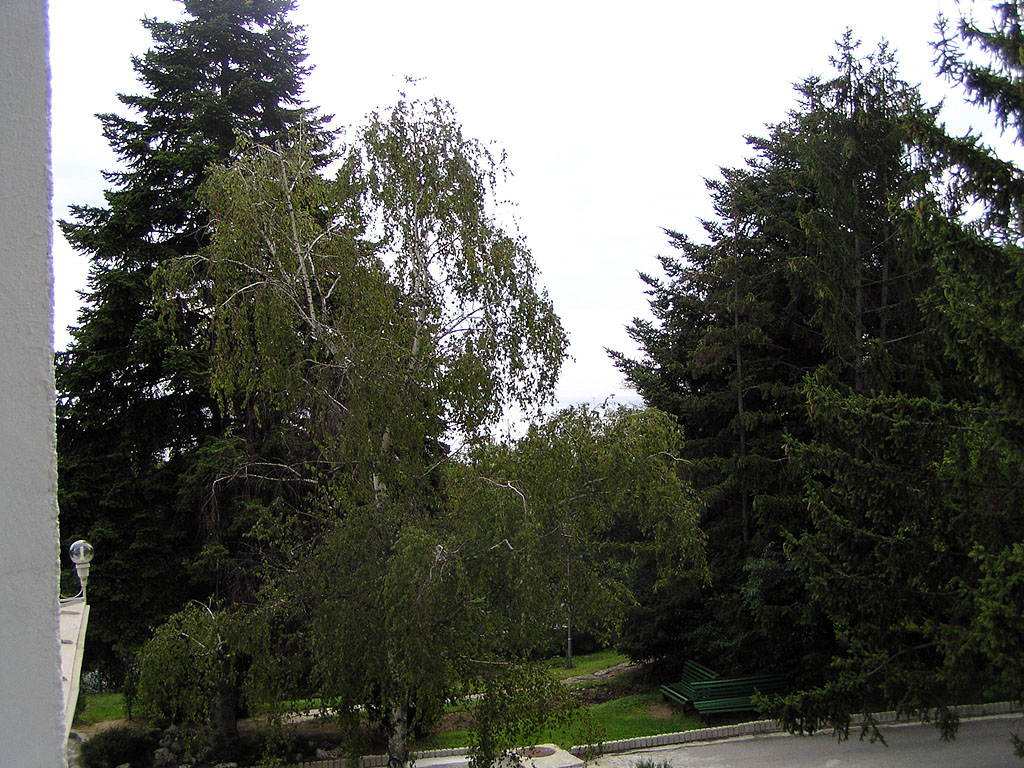 190903-022.GN.jpg