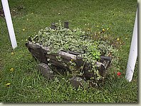 140903-054.GN.jpg 140903-054.GN.jpg