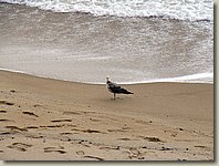 140903-127.AM.jpg