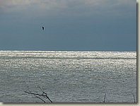 140903-128.AM.jpg