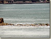 140903-130.AM.jpg