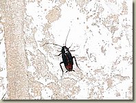 160903-213.AC.jpg 160903-213.AC.jpg
