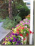 170903-000.VI.jpg 170903-000.VI.jpg