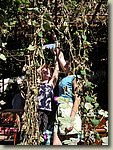170903-042.MK.jpg 170903-042.MK.jpg