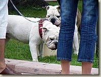 170903-047.AM.jpg 170903-047.AM.jpg