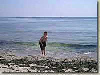 170903-053.MK.jpg 170903-053.MK.jpg