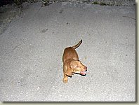170903-058.AM.jpg 170903-058.AM.jpg