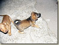 170903-059.AM.jpg 170903-059.AM.jpg