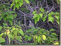 180903-80.SJ.jpg 180903-80.SJ.jpg