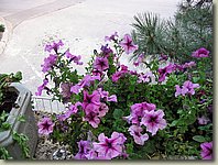 180903-80.VI.jpg 180903-80.VI.jpg