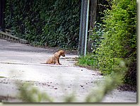 190903-001.AM.jpg 190903-001.AM.jpg
