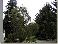 190903-022.GN.jpg 190903-022.GN.jpg