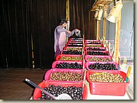 190903-047.MK.jpg 190903-047.MK.jpg