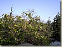 190903-064.SJ.jpg 190903-064.SJ.jpg