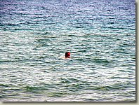 190903-109.AM.jpg