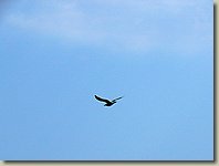 190903-118.AM.jpg 190903-118.AM.jpg