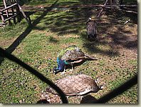 200903-38.SJ.jpg 200903-38.SJ.jpg