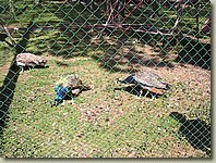 200903-39.SJ.jpg 200903-39.SJ.jpg